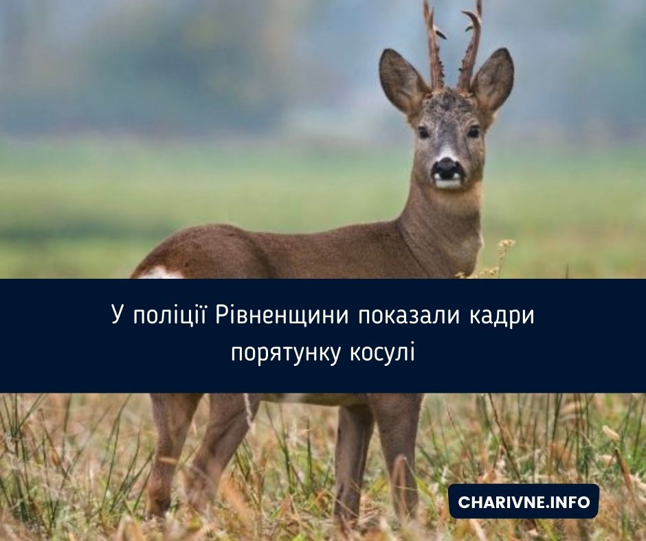 Фото ілюстративне